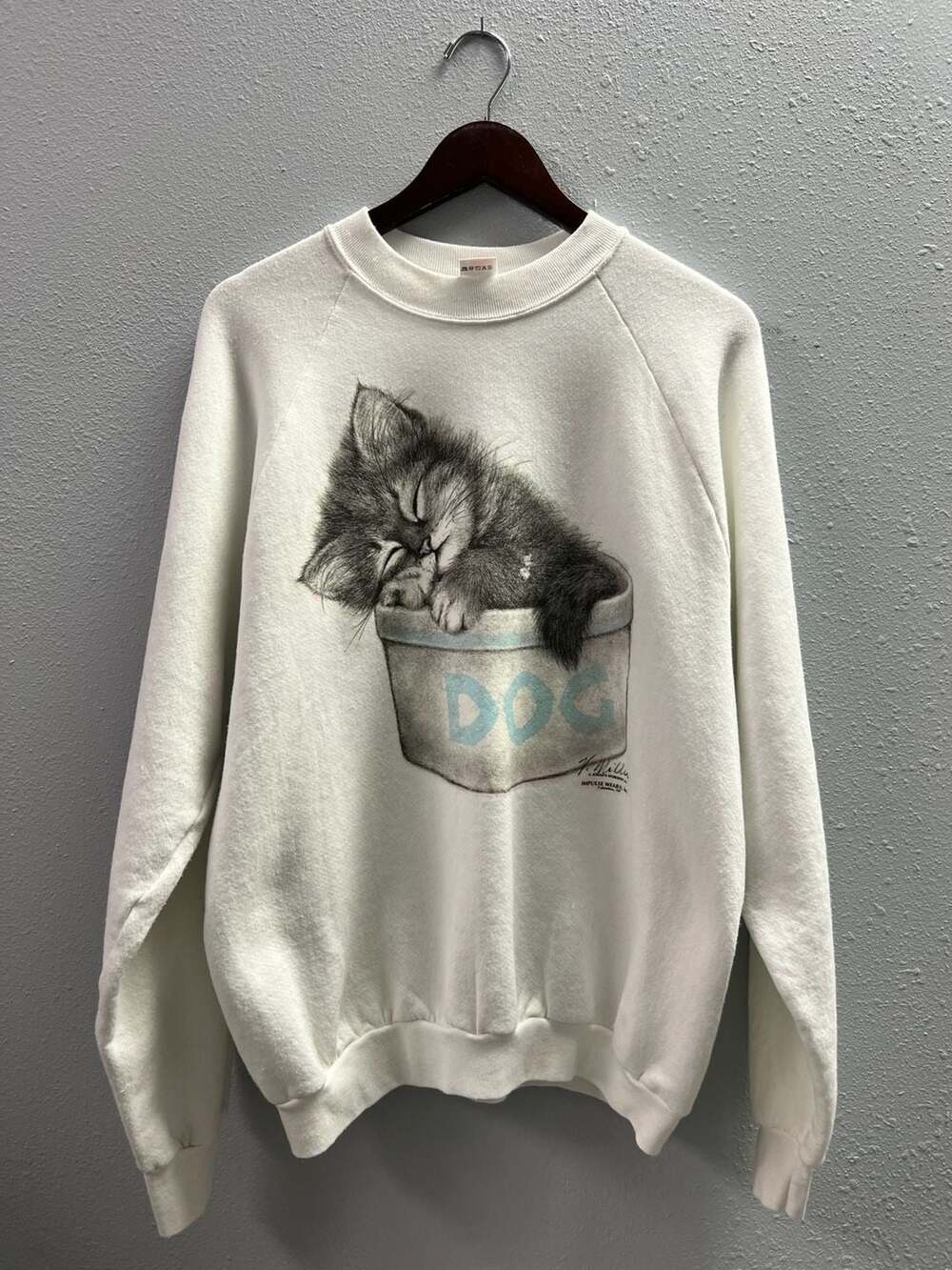 Vintage 90s Fruit of the Loom Kitten in Dog Bowl Sweatshirt XL 0034